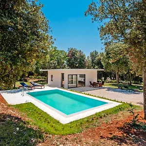 David Villa Rovinj